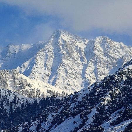 Hotel Bliss Valley Dharamshala - Beautiful View Of Mountains From Rooms Luaran gambar
