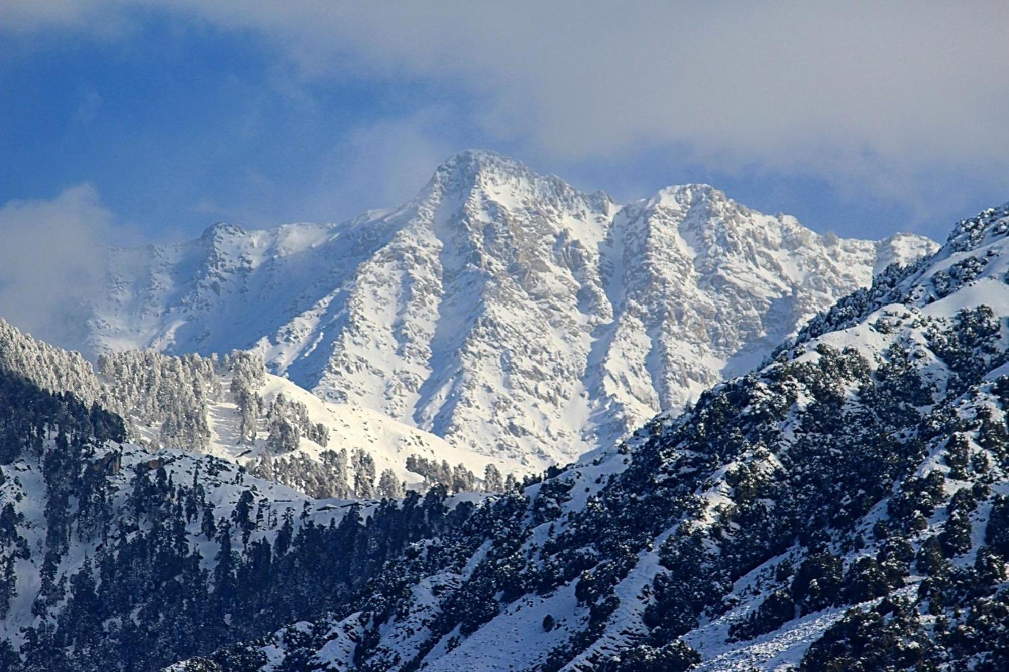 Hotel Bliss Valley Dharamshala - Beautiful View Of Mountains From Rooms Luaran gambar