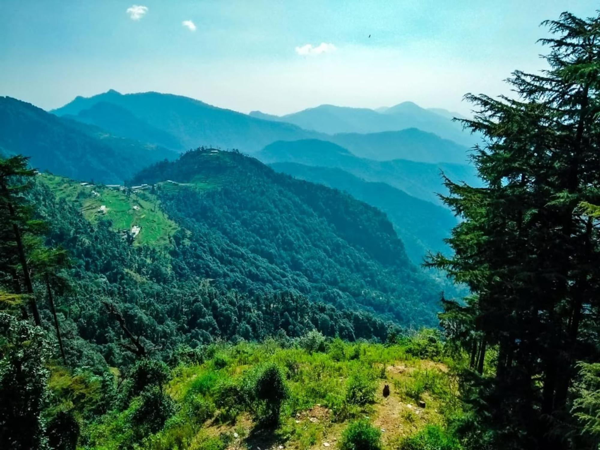 Hotel Bliss Valley Dharamshala - Beautiful View Of Mountains From Rooms Luaran gambar